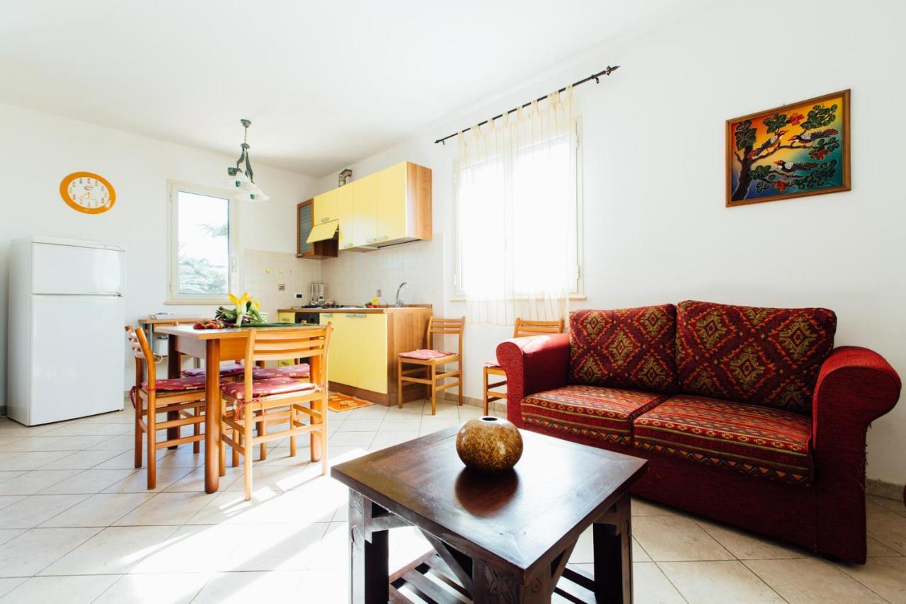 Agriturismo Il Querciolo Grosseto Ngoại thất bức ảnh