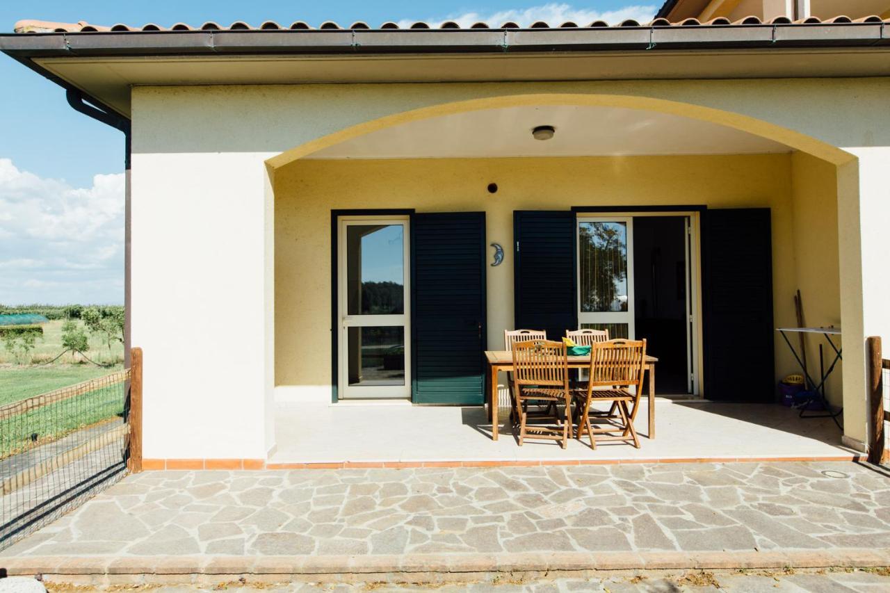 Agriturismo Il Querciolo Grosseto Ngoại thất bức ảnh